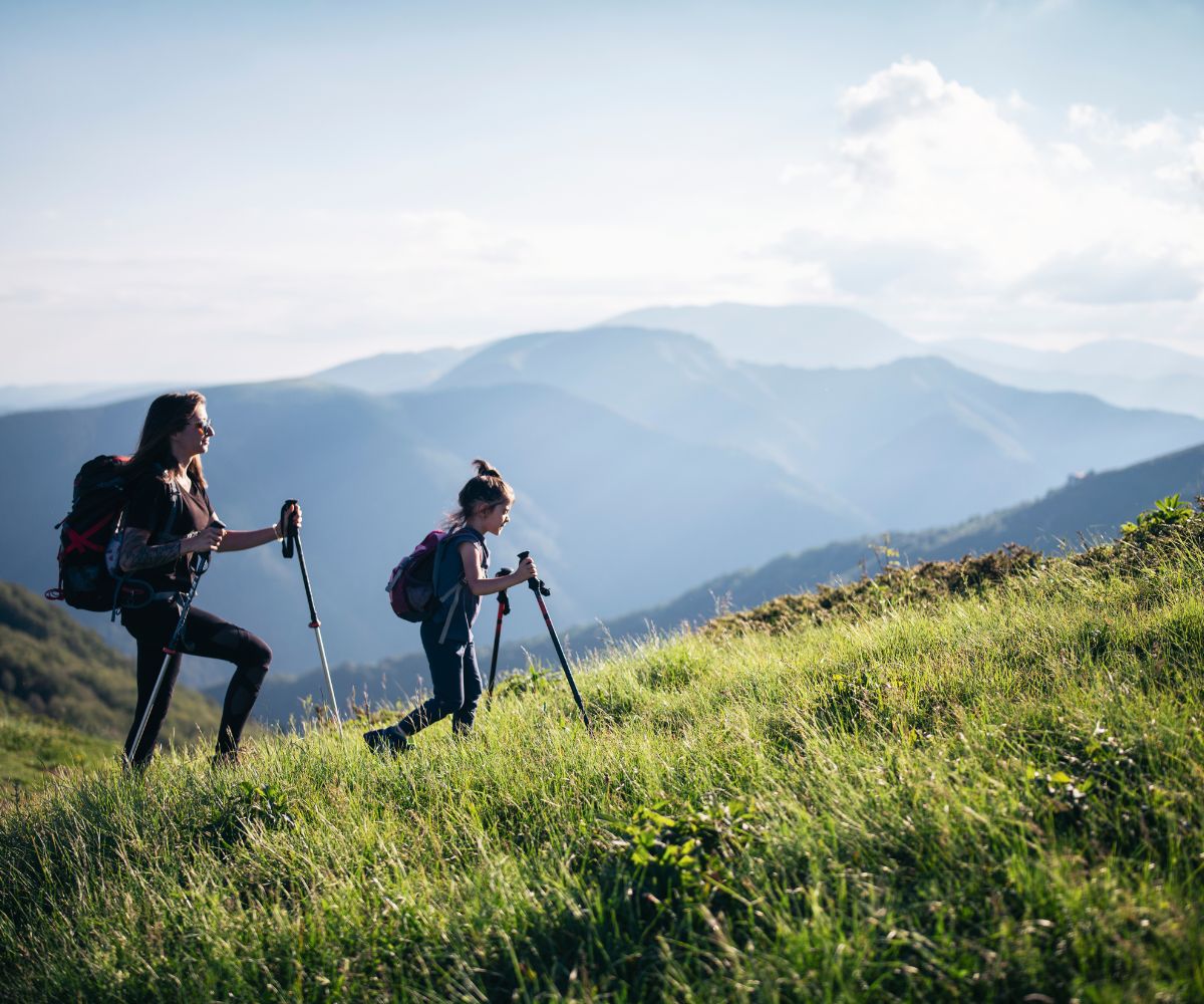 terms and conditions