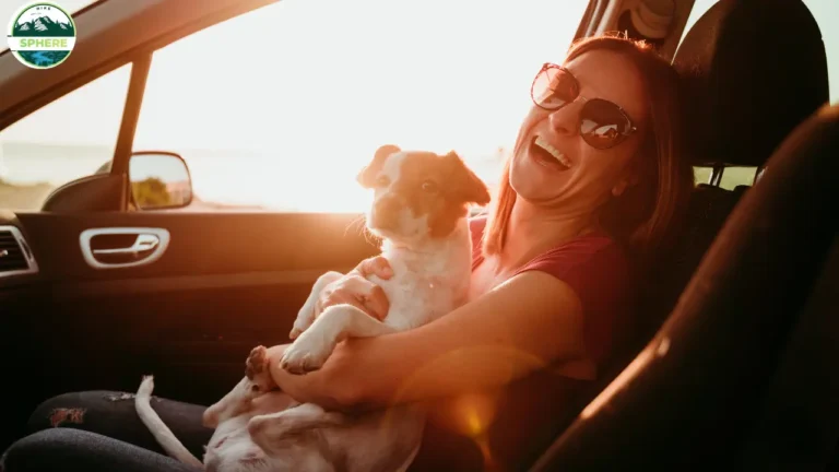 Car Puns and Car Jokes