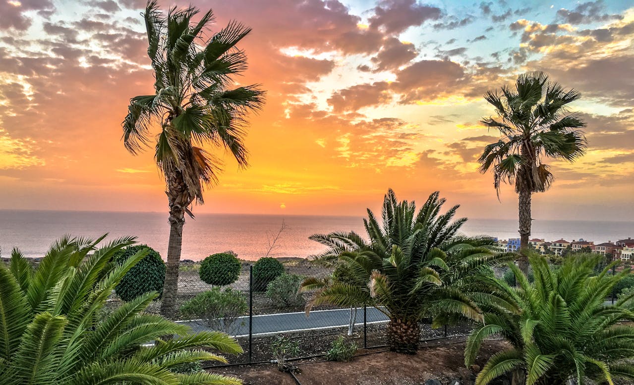 San Diego Instagram Captions