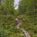 Best Hiking Trails in New Zealand: Scenic Roadways, Safety Advice and Hikes To Do