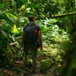 Top Jungle Hiking Trails