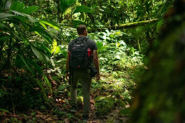 Top Jungle Hiking Trails