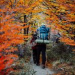 Benefits of Hiking: A Simple Habit for Better Physical and Mental Health