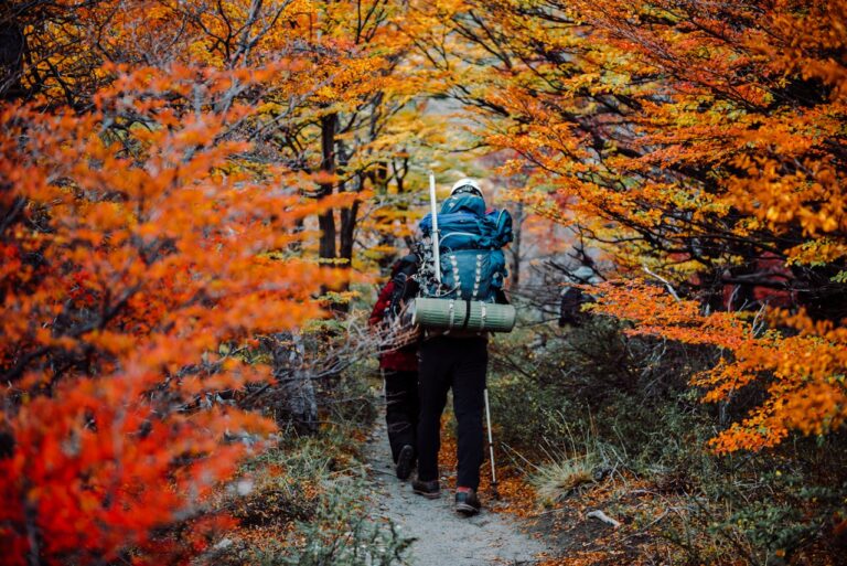 Benefits of Hiking: A Simple Habit for Better Physical and Mental Health