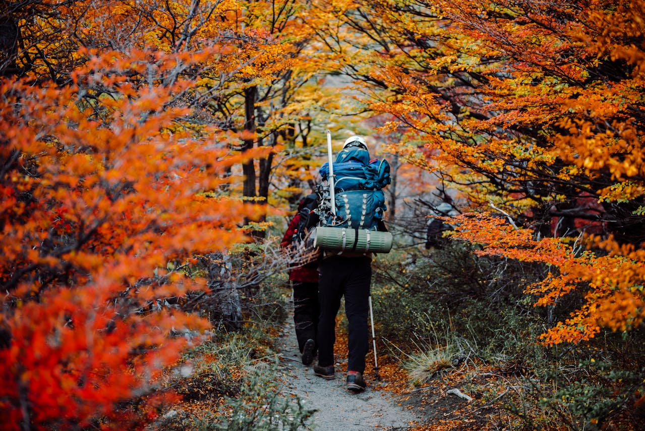 Benefits of Hiking: A Simple Habit for Better Physical and Mental Health