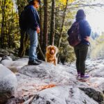 Dog Friendly Hiking Trails Guide 2026: Find Pet-Friendly Hiking Spots Easily