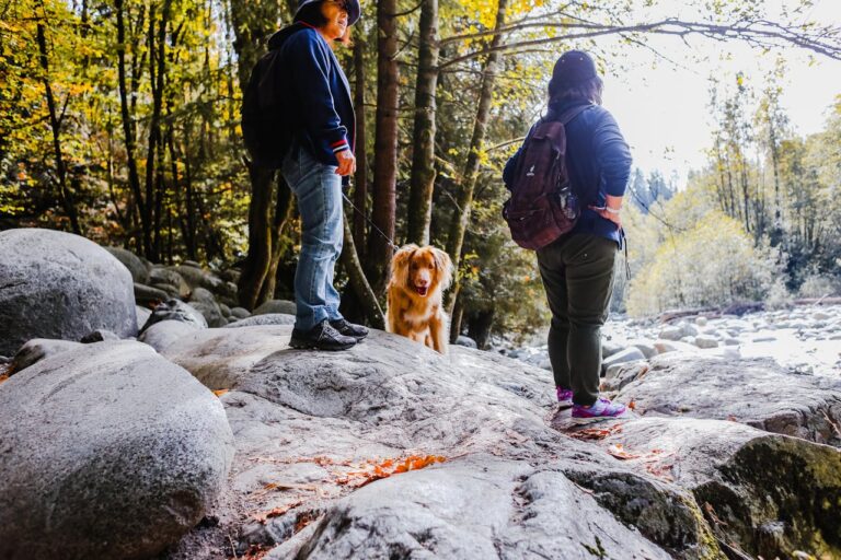 Dog Friendly Hiking Trails Guide 2026: Find Pet-Friendly Hiking Spots Easily