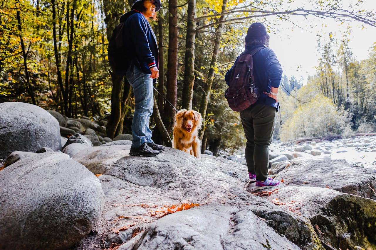 Dog Friendly Hiking Trails Guide 2026: Find Pet-Friendly Hiking Spots Easily