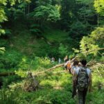 How to Plan a Hiking Route with Elevation Changes