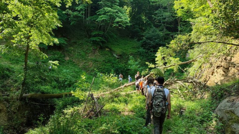 How to Plan a Hiking Route with Elevation Changes